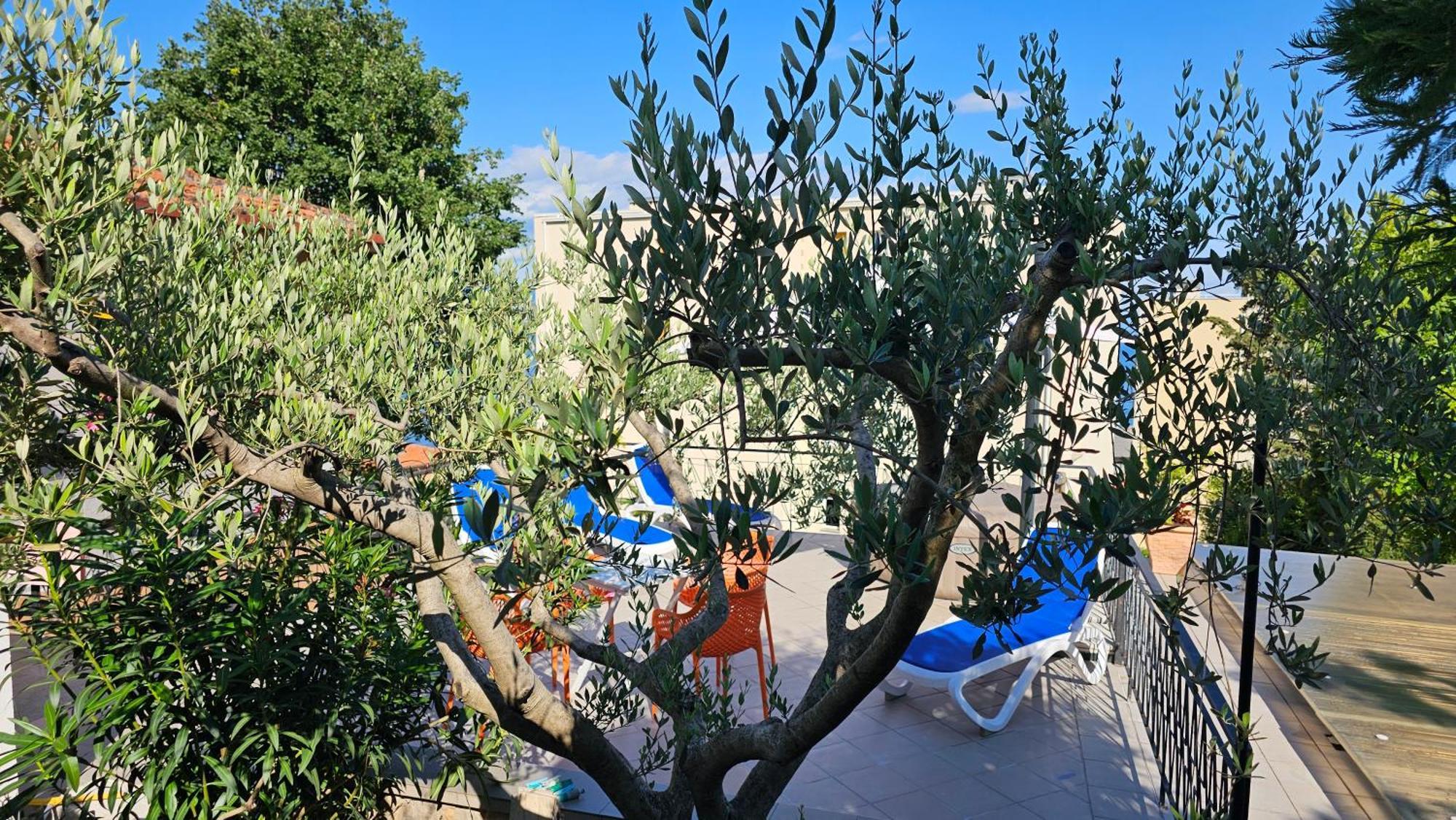 Elvira Apartment Opatija Luaran gambar